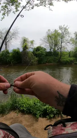 Massive Rainbow Trout 🎣#jesus #godisgood #nrvbaits #trout #fish #creek #bigfish #rainbowtrout #lurefishing #SmallBusiness #Outdoors #catchandrelease #contentcreator #softplastics #hellbendernets #spinningreel #fishing #troutfishing #fyp #foryou #viralvideo #millionactsoflove #tiktokshop #tiktokpartner #fypシ #fypage #fishtok #creekbugz #trendinghashtag 