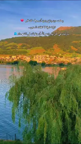 اللهم تقبل اخي .. في الشهـ. ـداء 🫀  #دعاء #فقد_الأخ #غربة  #خولان #اناشيد_بدون_موسيقى 
