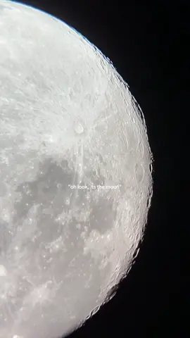 the moon! #fyp 