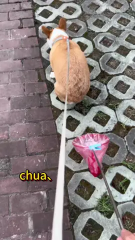 #bestchinesevideos 