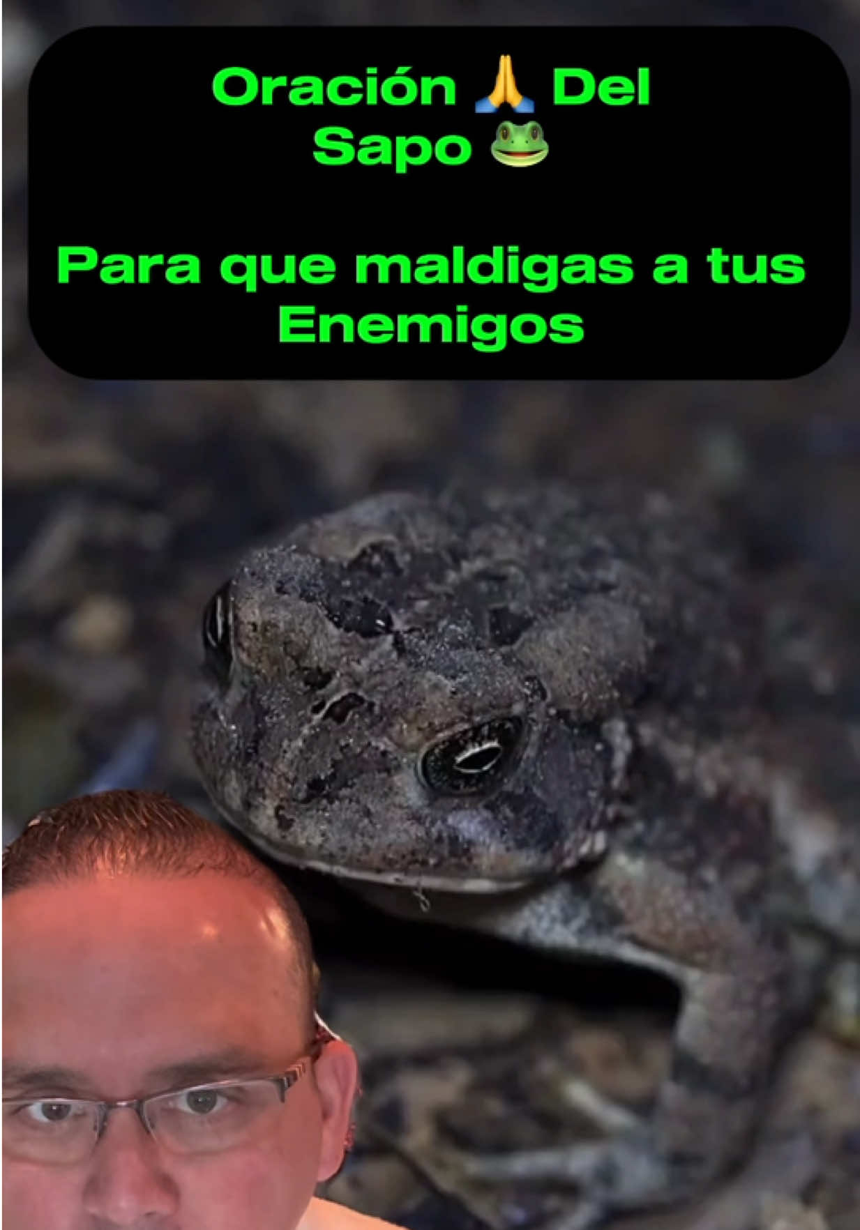 Oración del sapo #whitchcraft #magiablanca #Amarres #santamuertedevotee #witchtok #santamartaladominadora #tarot #brujeriasdetiktok #videntestiktok 