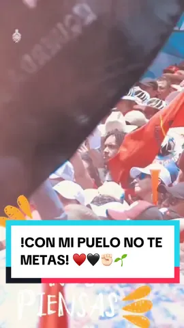 ¡CON MI PUEBLO NO TE METAS! ♥️🖤✊🏻🌱 #NOVOLVERAN🇸🇴🇦🇹🐀  #GolpesDeEstadoNuncaMás #FraudesElectoralesNuncaMás #RixiVieneYNadieLoDetiene @Partido LIBRE @Libre FM @RixiPresidenta 