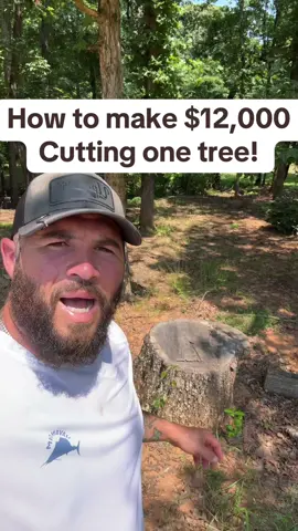 I only work in dry clothes #work #bluecollar #treework #woodwork #concrete #customerservice #clothes #sweat #Summer #hot #customer #homeowner #hauling #haul #drive #cut #saw #hustle #money #upcharge