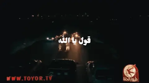 #طيور_الجنة #ذكريات_الطفولة #ديمة_بشار #محمد_بشار #اكسبلور #ترند 