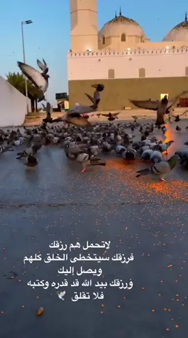 لاتحمل هم رزقك ،،  لأن الله تكفل به ..               #ستجبر_و_كأنك_لم_حزناً_ثق_بالله #تولنا_برحمتك_وعطفك_وتيسيرك_ولطفك 