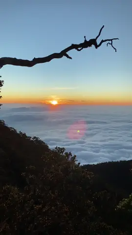 ⛅️ #gunungcikuray #atapgarut #4u #fyp #lautanawan #sunrise 