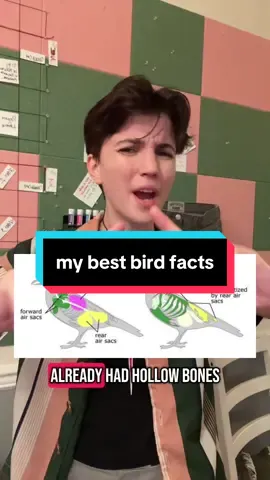 “Don’t you wish we could live among dinosaurs?” Girl we DO we live among the COOLEST ONES #mindblown #learning #birds #science #womeninstem #funfacts #biology #paleontology #dinosaur #birb 