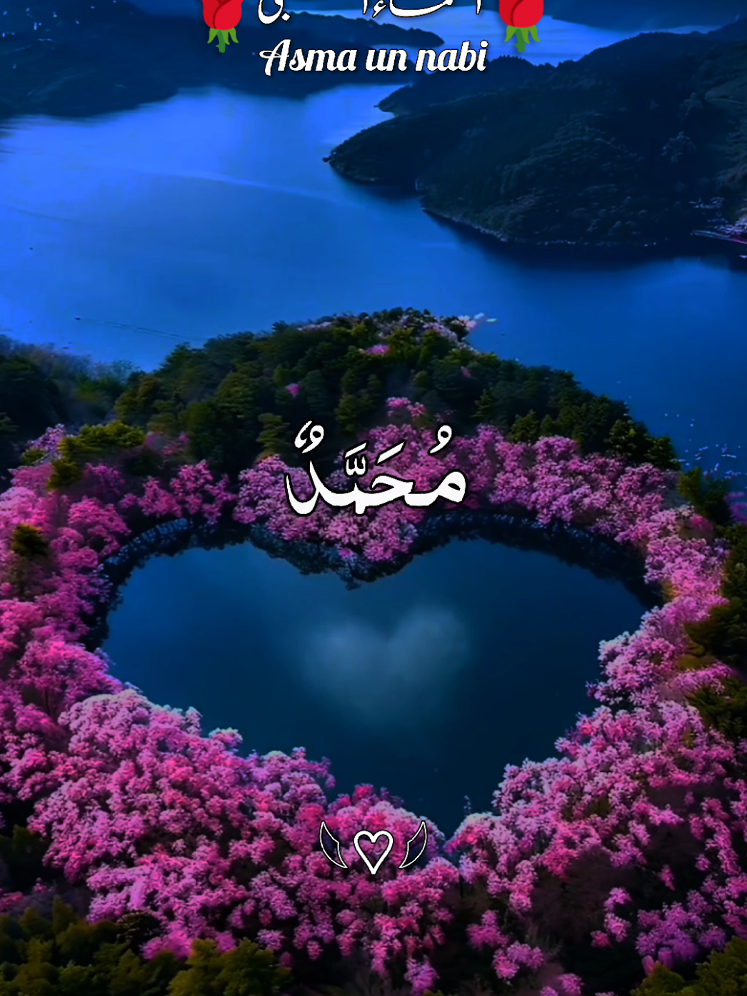 99 names of Muhammad saw ❣️#99namesofmuhammad #islamicreelsvideo #growmyaccount #islamicquotes #quranicquotes #darood #quranonline #unitedstates 