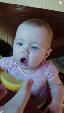 Baby eats lemon for the first time🍋🍋🍋#foryou #fyp #Love #happ #baby #cute #cutebaby #funnyvideos #tiktok #foryoupage 