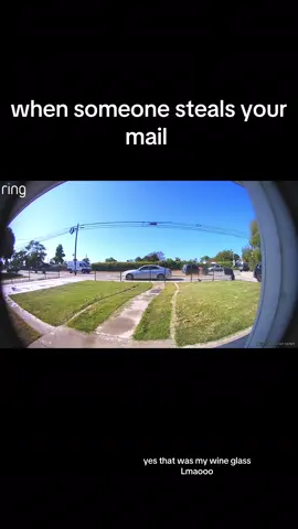 #ringdoorbell #theft #funny 