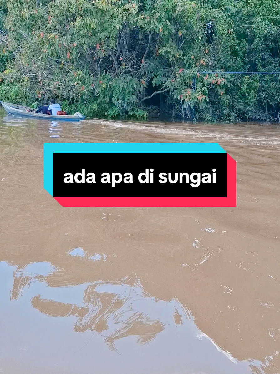salahsatu kegiatan di sungai kahayan#palangkaraya #palangkarayakotacantik #kaltengpunya😎 #sungaikahayan #sungaikahayankalteng 