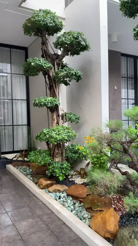 🌿 Taman Depan Rumah: Sentuhan Hijau yang Menyegarkan 🌿 Taman depan rumah bukan hanya mempercantik tampilan hunian, tetapi juga menciptakan suasana segar dan menyambut bagi siapa saja yang datang. #fyp #fypシ #foryou #foryoupage #viral #viralvideo #tamanrumah #tamandepanrumah #desaintaman #jasataman #inspirasitaman #tamanminimalis #homedecor #gardenideas #idekreatif #tiktokindonesia #tiktokviral #tipsrumah #rumahidaman