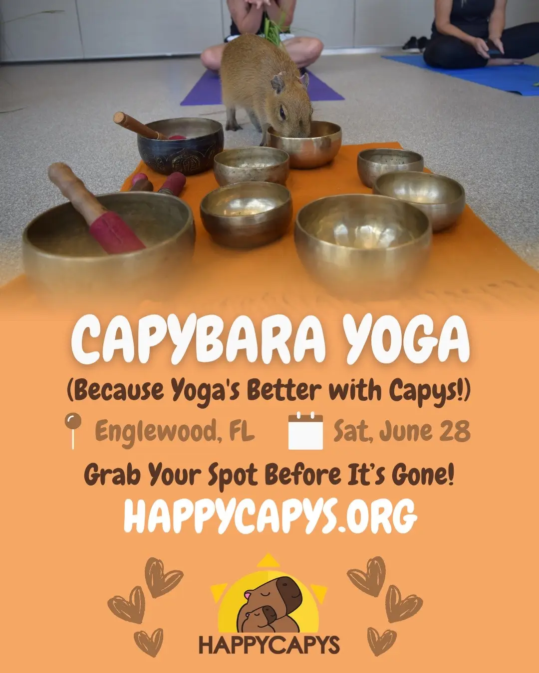 🧘‍♀️ TOMORROW is Capybara Yoga—your last chance to snag a spot! Only a few spaces left, so hurry and join our adorable capys for a relaxing and unforgettable experience. Grab your mat and reserve now: happycapys.org #happycapys #CapyYoga #LastChance #YogaWithCapys