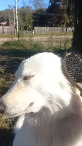 jjjjj La Chica numero 1 del Tiktok 😅