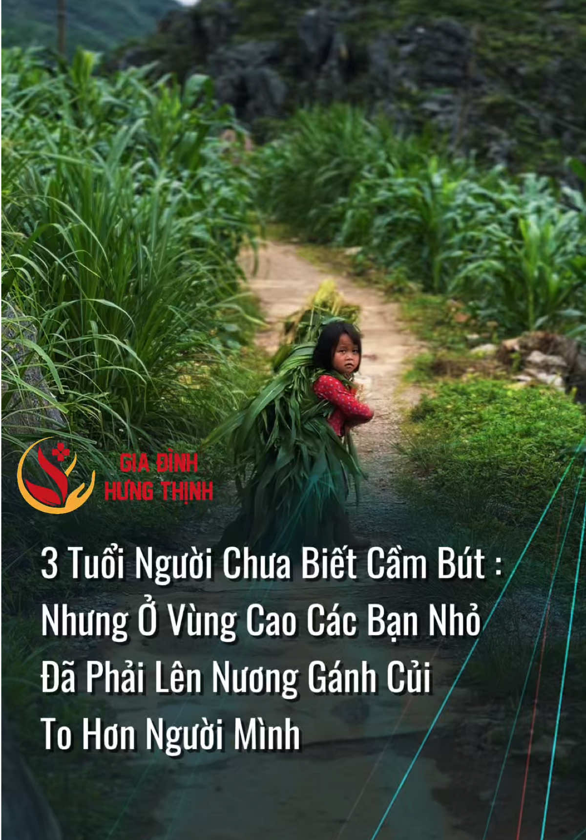3 Tuổi Các Bạn Đồng Trang Lứa Chưa Biết Cầm Bút Nhưng Các Bạn Nhỏ Vùng Cao Đã Phải Lên Nương Gánh Củi To #giadinhhungthinh #caohohungthinh 