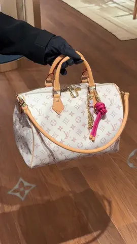 #bag #fashionbag #bagfactory #lvbag #lvspeedy30 #bagcollection #fyp 