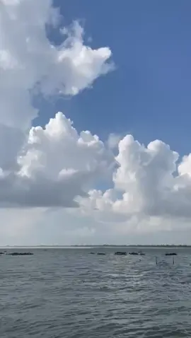 ভাদ্র মাসের আকাশেতে সাদা মেঘের ভেলা কোথায় গেলে বন্ধুরা.......... #rajshahi  #godagari_rajshahi😘unfreezemyaccaunt 