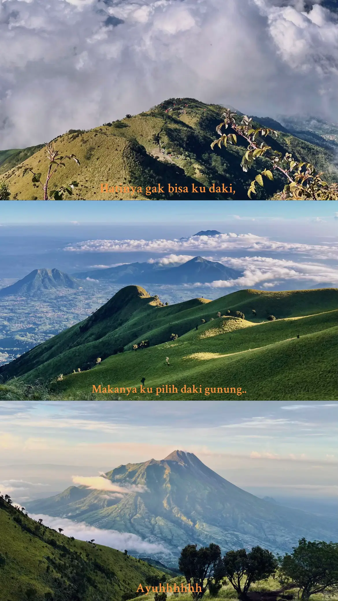 SEPTEMBER adalah waktu yang tepat untuk mendaki Gunung Merbabu gaiss. #gunungmerbabu #suwanting #jogjakarta #yogyakarta #mounthoodmy 