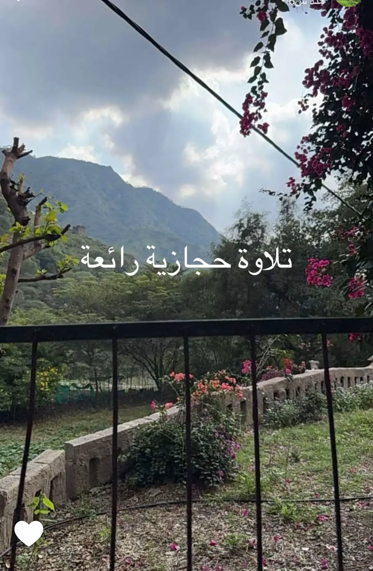 #قران 