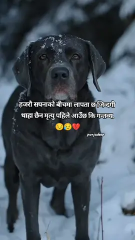 हजरौ सपनाको बीचमा लापता छ जिन्दगी  थाहा छैन मृत्यु पहिले आउँछ कि गन्तव्य. 😔😥💔#ktmmuser #viralvideos #tranding #punjadeepgautam #fyp #deeplines @पुञ्ज गौतम प्रान्जल @keshav sundar sharma 