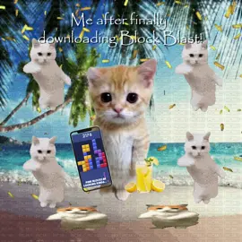 😸😸 yesss #blockblast #hungrystudio #blockblastlove #viral #catcore #sillycats #brainrotcore #cattok #catsoftiktok #usa #catlover #corecoretiktok #cats #sillycat 