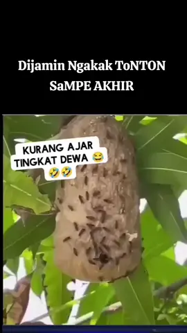 AHLaK TEMAN YG BAIK,,,😅😅😅😅###