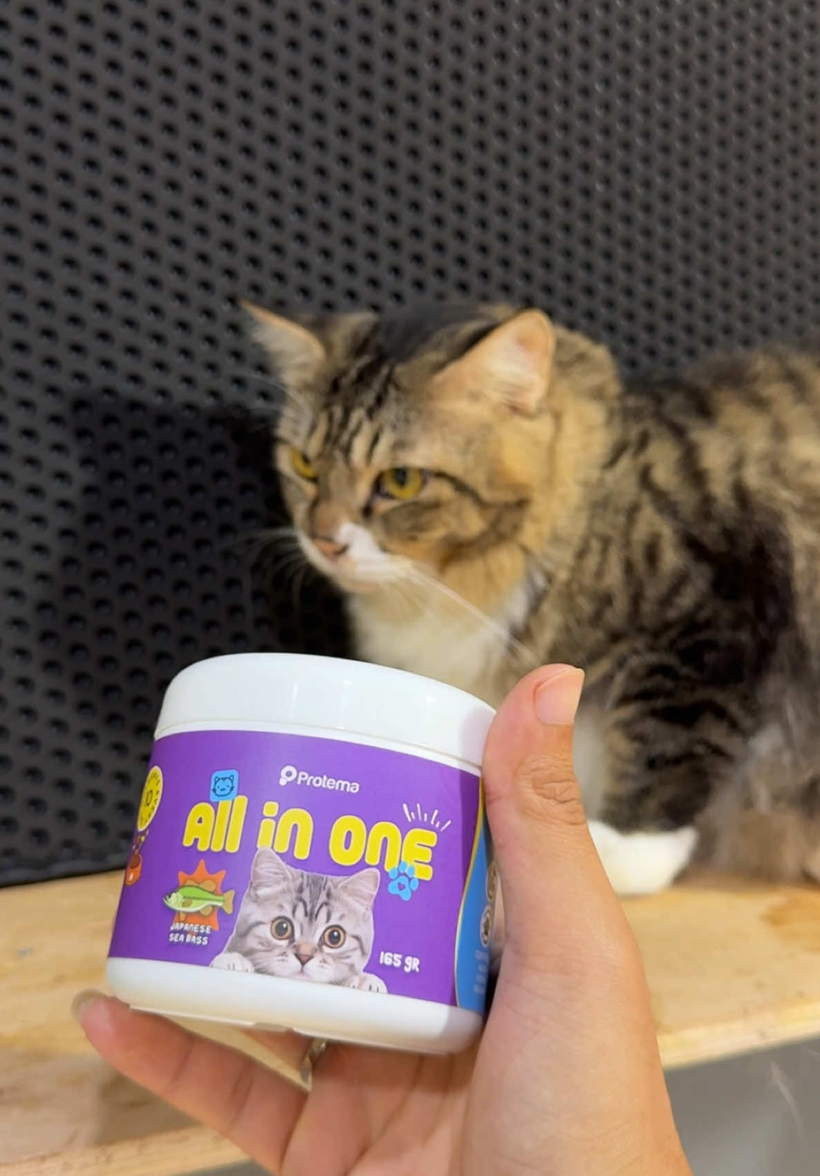 Vitamin paket lengkap anabul bisr jadi gembul sehat bulu lebat serta masih banyak lagi manfaat yang lain 😍 #cat #kitten #kucinglucu #vitaminkucing 