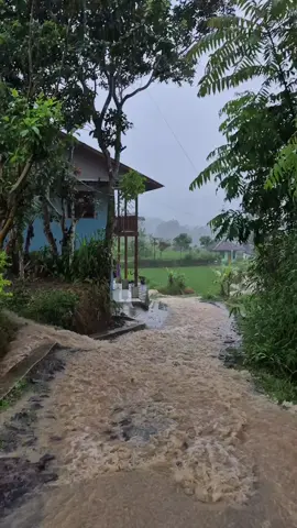 hujan deras sampai banjir ke jalan #hujanderas  #pedesaansunda  #jangkawanluas 