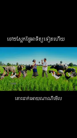 #ghost #ghostdance #និយាយរឿងខ្មោច #និយាយរឿង #ខ្មោចលង #ព្រៃខៀវ 