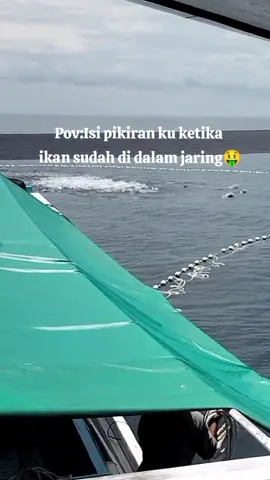 duitt nihh🤣🤣#sulawesiselatan #pelautpunyacerita #foryoupagee #fypdongggggggggシ #barru 