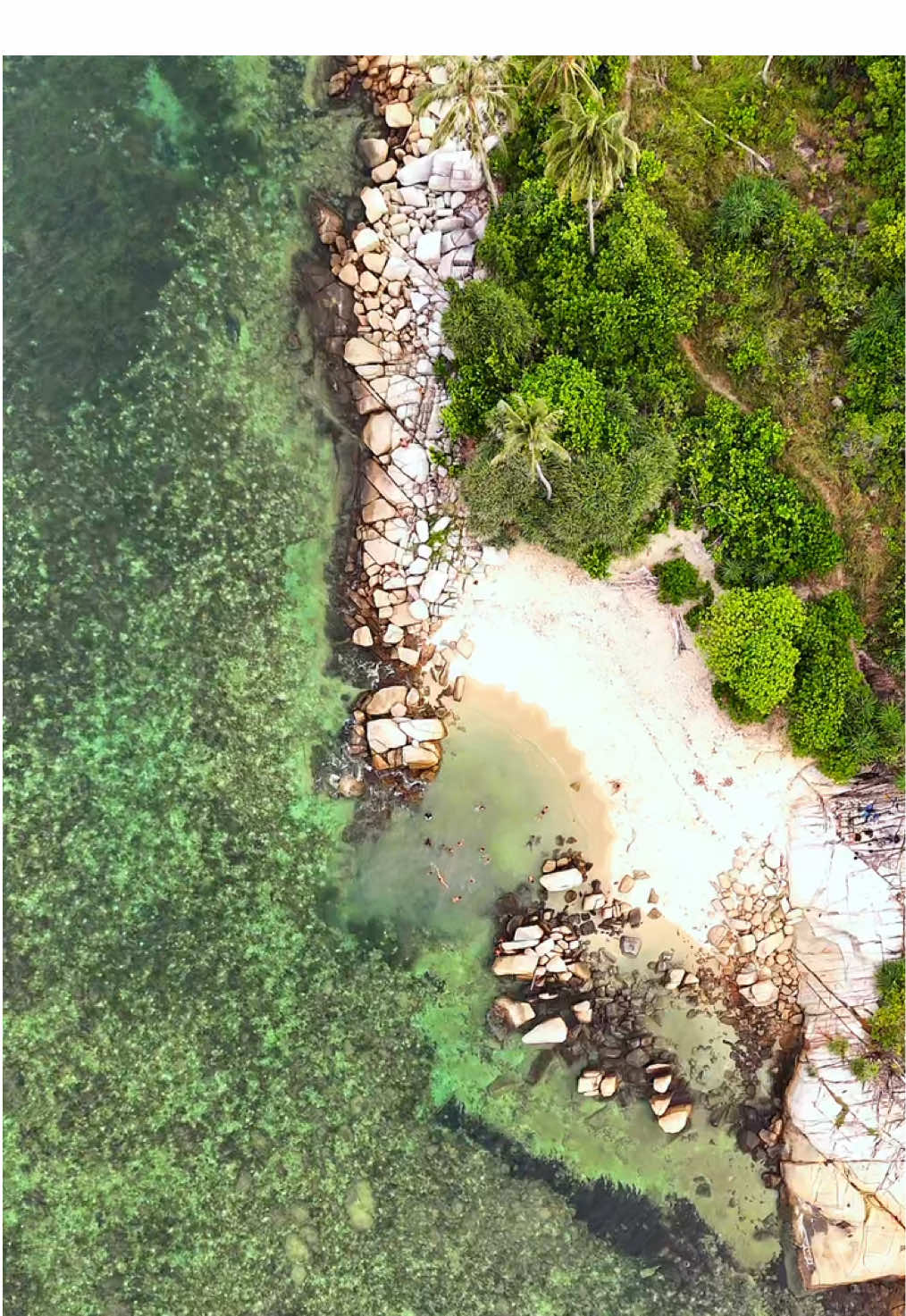 Tak perlu mainan mahal, cukup laut, sinar matahari. dan drone wkwkwkwkkww #pantai #pesonaindonesia #bintan #trikora 