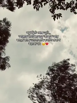 শখ মিটে গেছে ভাই., আল্লাহ বাঁচাই রাখলে জীবনে আর কারো কাছে ভালোবাসি কথাটা প্রকাশ করবো না। 🗿💔#foryou #foryoupage #fypシ #trend #trending #tiktokviral #tiktokofficialbangladesh 