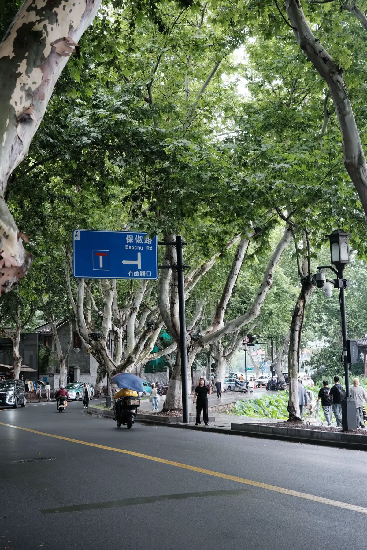 上有天堂 下有苏杭#hangzhou #杭州 #西湖 #旅游 #中国 #dulich #trungquoc #hangchau #tayho #xuhuong #fyp #china #viral #travel 
