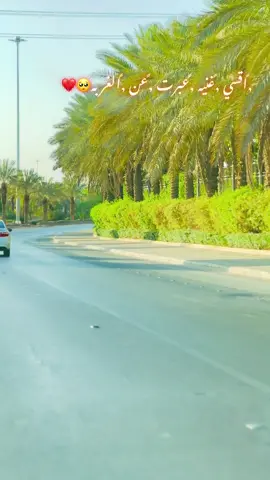 #مشاهير_تيك_توك #تصويري📸 #الشعب_الصيني_ماله_حل😂😂🙋🏻‍♂️ 