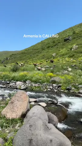 Armenia is calling  #armenia #evn #yerevan #travel #sevan #hayastan #dilijan #lori #sevanlake 