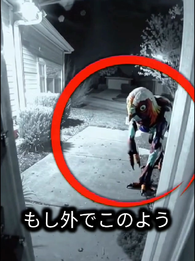 もし外でこのような生物を見掛けたら逃げて！#雑学 #未確認生物 #未確認生命体 #つなさら