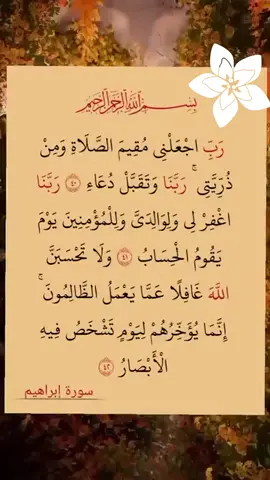 #anxietyrelief #tik_tok #fyp #ilovequran_alkarim #quran_alkarim 