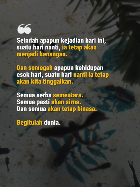 Begitulah dunia