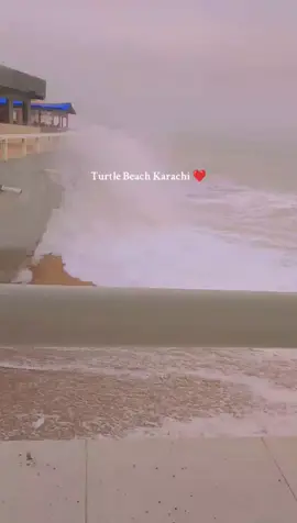 #for you page ##turtle beach ⛱️ beautiful sukoon🤽😇