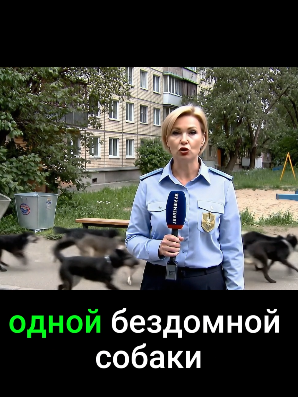 #новостидня #новостисегодня #новости #собакиприколы #репортаж 