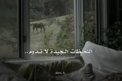 #wildflower #song #billieeilish #مترجمة #jes 