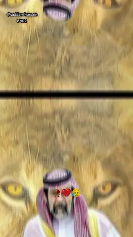 #foryoupage #virallvideo #king saddam hussain 👑 #virall #virall #100kviews #100kviews #foryoupage❤️❤️ 