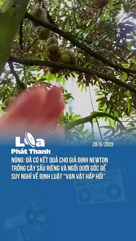 Ông nào cho Newton ngồi dưới gốc sầu riêng vào mà xem :)) #knews #loaphatthanh #kmedia #tiktoknews #dc 