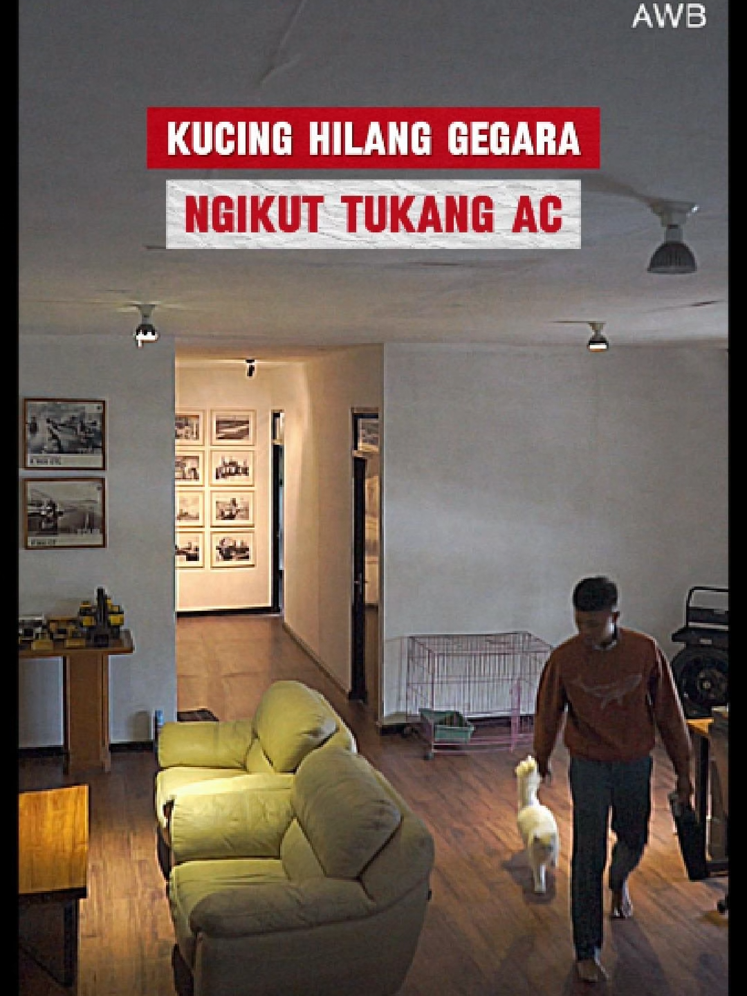 Kucing hilang gara - gara ngikut tukang AC! #fyp #fypage #fyppppppppppppppppppppppp #fypシ゚ #kucing #kucinglucu
