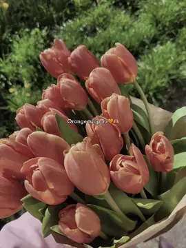 🧡🫶🏻