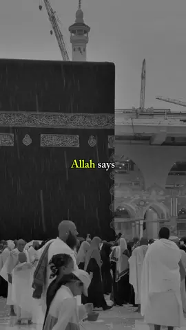 Allah says: Don't give up ! . #islamiccontent #muslim #islamic_video #muftimenk  #mercyofallah #trustallah #islamic_media #islamic 