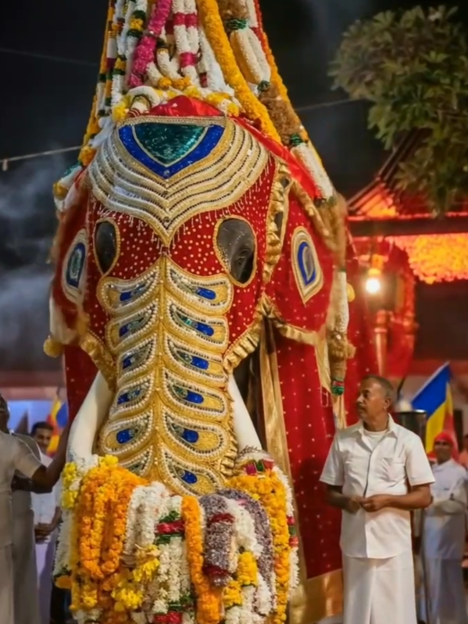 #katharagamaperahara #katharagamaperaheraspecial #viralvideo #katharagama #f #fyp #foryou #katharagamawasana #wasana #ruhunumahakataragamadewalaya #2025 