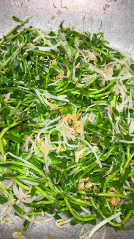 “Rau Đắng Xào Tỏi – Món Dân Dã, Vị Đắng Nhưng Ghiền!”#RauDangXaoToi   #MonXaoDuaCom   #AmThucMienTay   #MonNgonMoiNgay   #BepNha   #YeuBep   #AmThucDanGian   #NgonNhatLaNhaLam   #FoodieVietnam   #CookingAtHome   #AnLaGhiền   #HealthyFood   #RauSach   #RauDang  