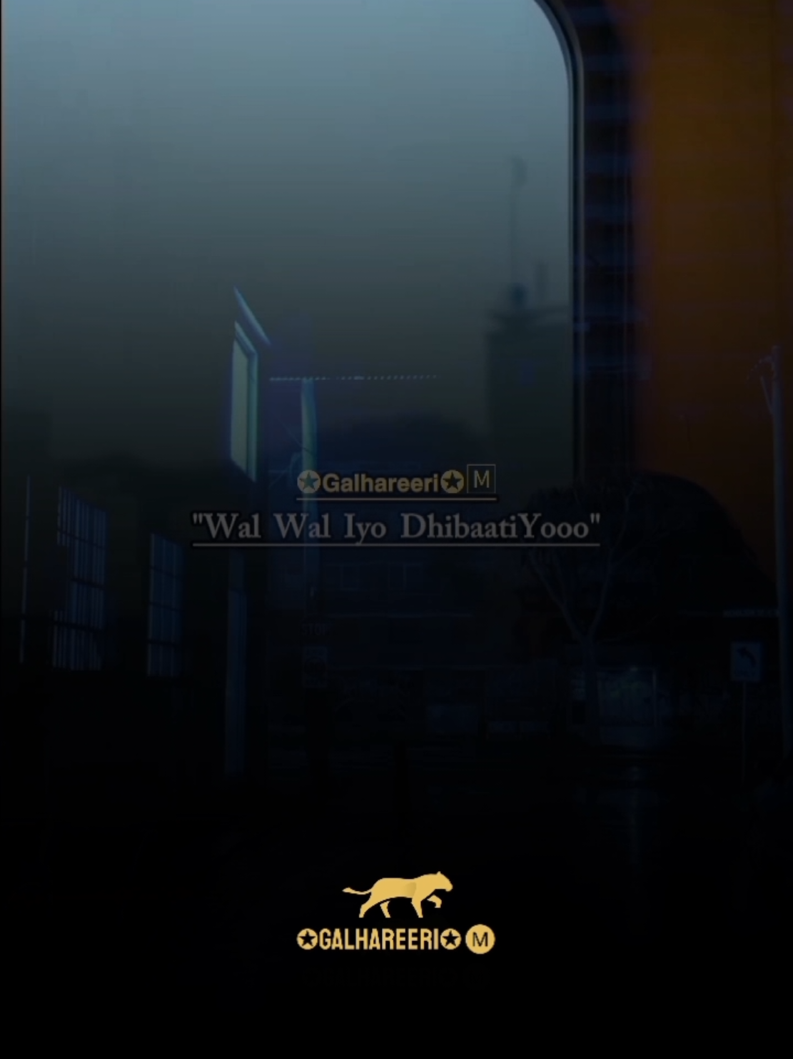 Aduunyada Waree Iyo wal wal  #fouryou #Galhareeri #tik_tok  #somalimusic #somalilyrics #fyp  #zainzakilyrics_17 #somalitiktok  #fypageシ #fypviralシ #fypvirall  #muqdishotiktok #videoviralitiktok  #fouryoupage_tiktok_ #ciyaalxamar  #videoviral #somaligirlstiktok #fyp  #fypppppppppppppp #fyppp 