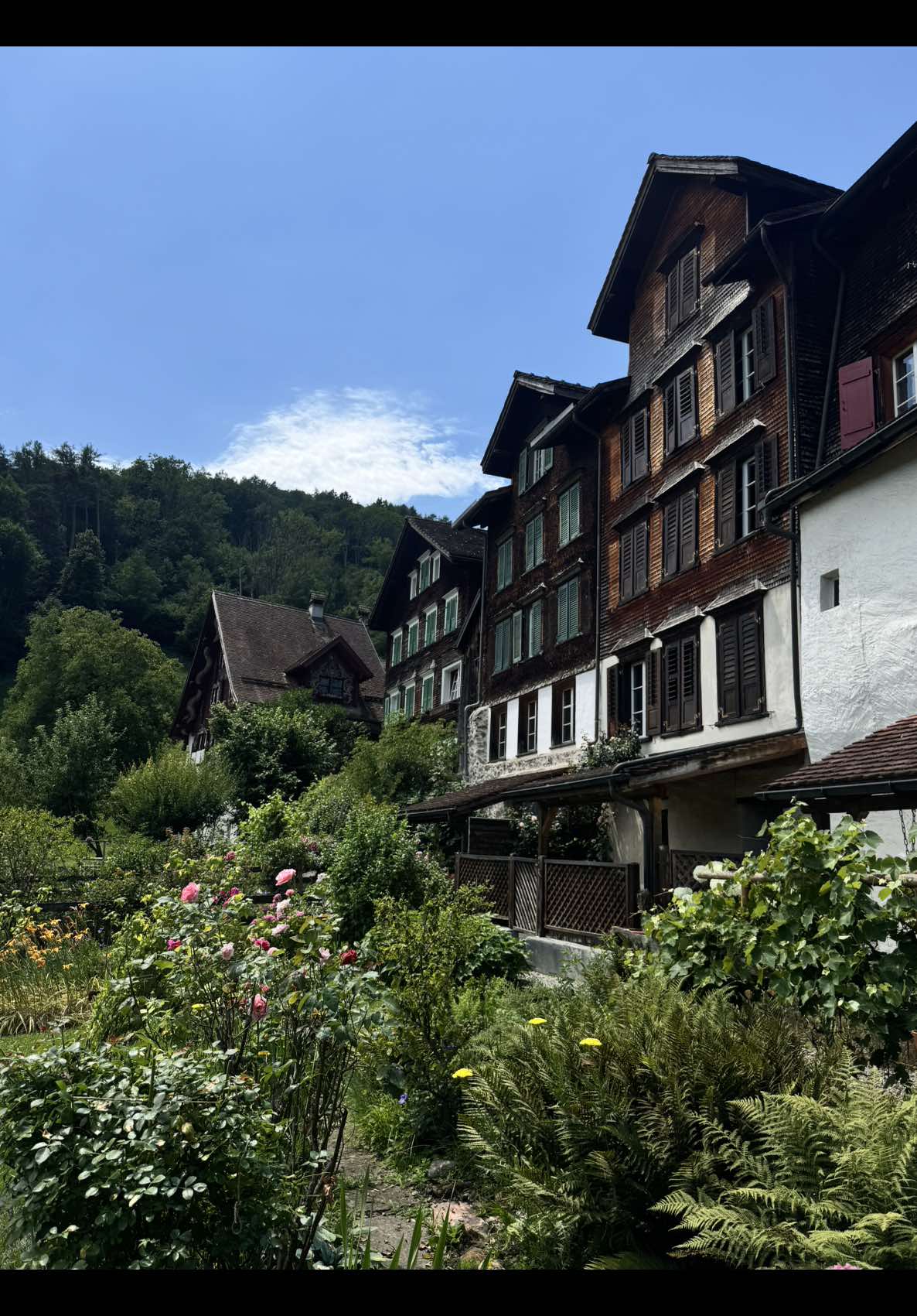 swiss trains a masterclass in moving people  #swisstrains #switzerland #zurich #interlaken #travel #trainsystems #tech #fyp #fy #foryoupage 